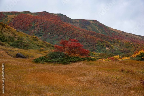 栗駒山の紅葉 © KUZUMISAWA