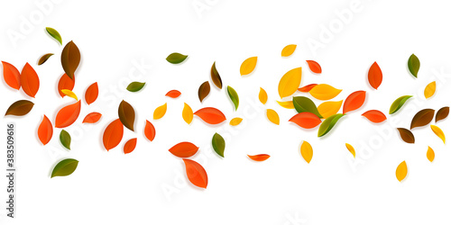Falling autumn leaves. Red, yellow, green, brown c