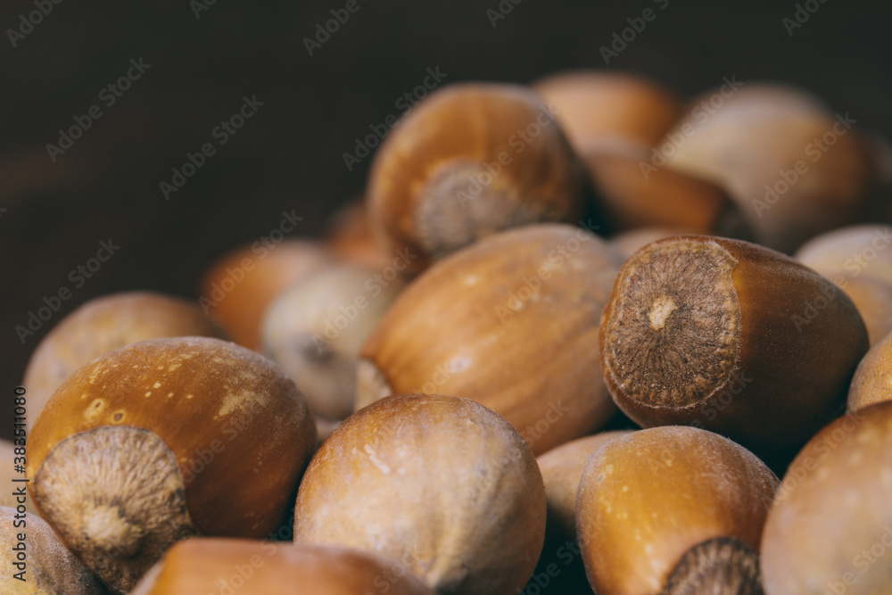 Pile of nuts. Hazelnuts. Whole nuts. Macro photo. Pile of nuts. Hazelnuts. Whole nuts. Macro photo.