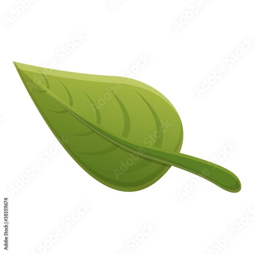 Cinnamon green leaf icon. Cartoon of cinnamon green leaf vector icon for web design isolated on white background