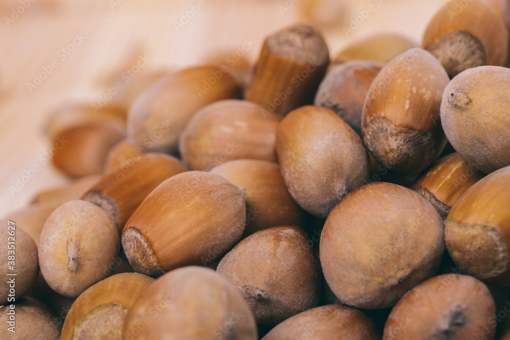 Pile of nuts.Hazelnuts. Whole nuts. Corylus avellana. Macro photo, close up. Pile of nuts.Hazelnuts. Whole nuts. Corylus avellana. Macro photo, close up.