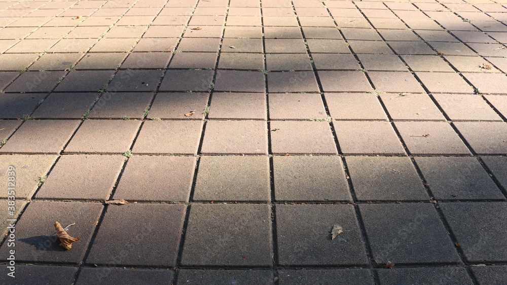 Fototapeta premium empty autumn paved square in a park or street covered with fallen dry leaves as a mood background of the seasons hay in the city space
