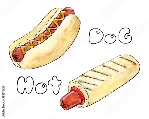Two hand drawn hot dogs
