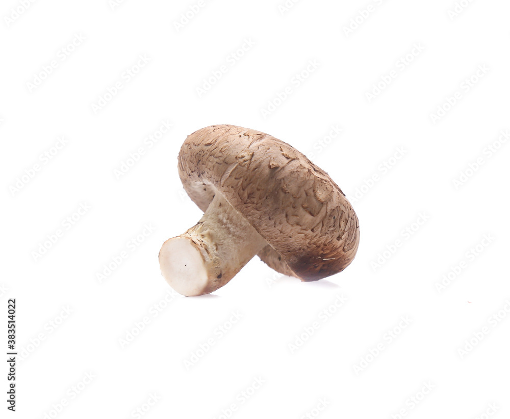 Shiitake mushroom on the White background Shiitake mushroom on the White background