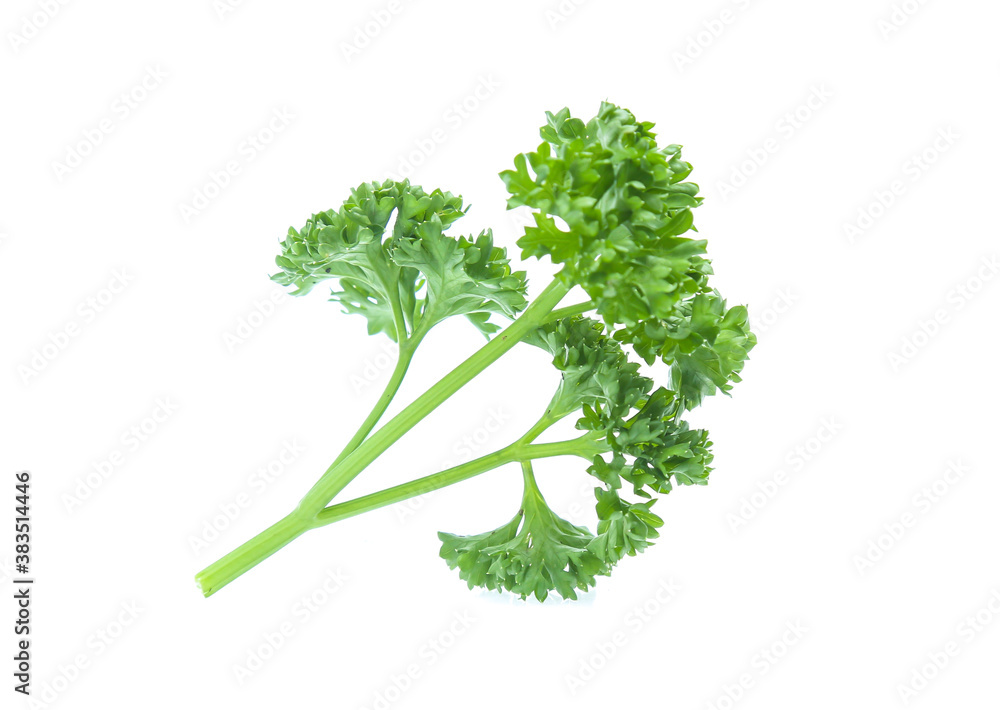 Parsley isolated on white background Parsley isolated on white background