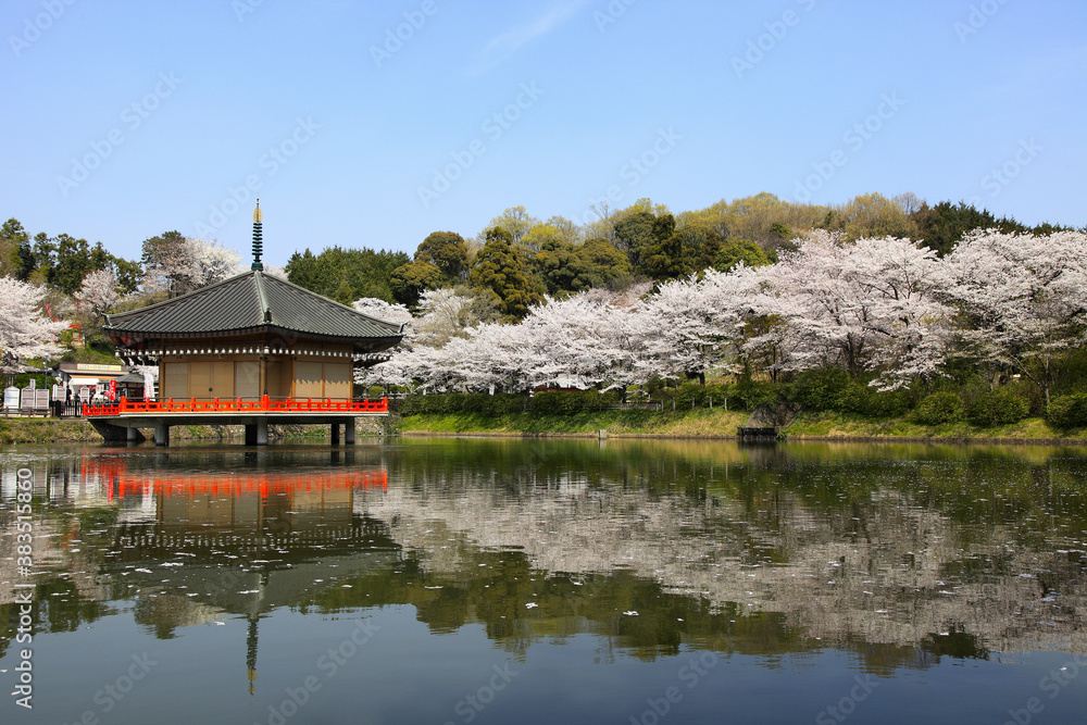 Naklejka premium 安倍文殊院