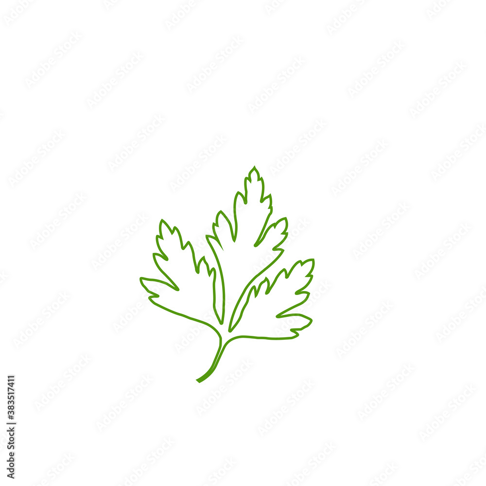 Parsley icon in outline style isolated on white background. Herb an spices symbol stock vector illustration. Parsley icon in outline style isolated on white background. Herb an spices symbol stock vector illustration.