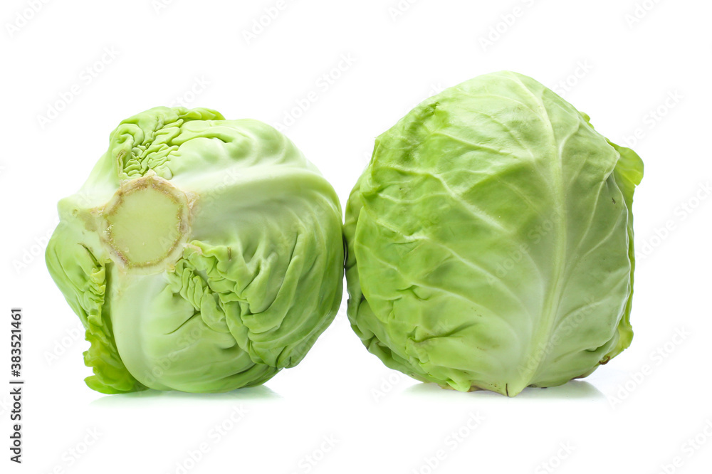Obraz premium green cabbage on white background
