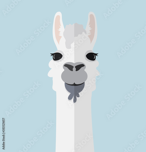 Alpaca lama portrait flat vector