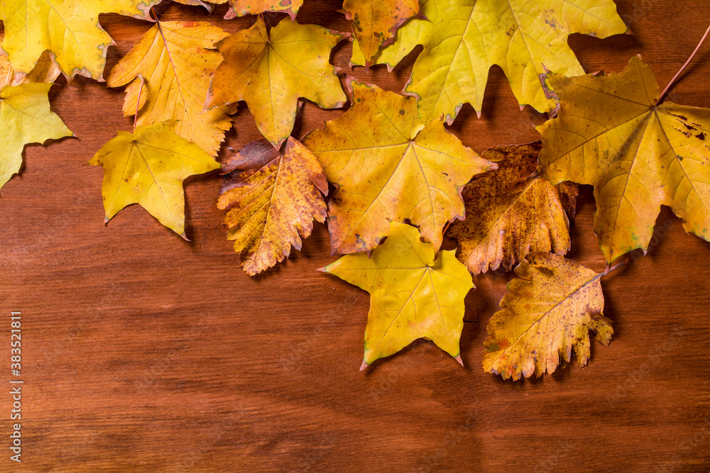 autumn leaf on wood black background (top view) orange leaf on old grunge wooden deck. copy space for an inscription. tablet for text.