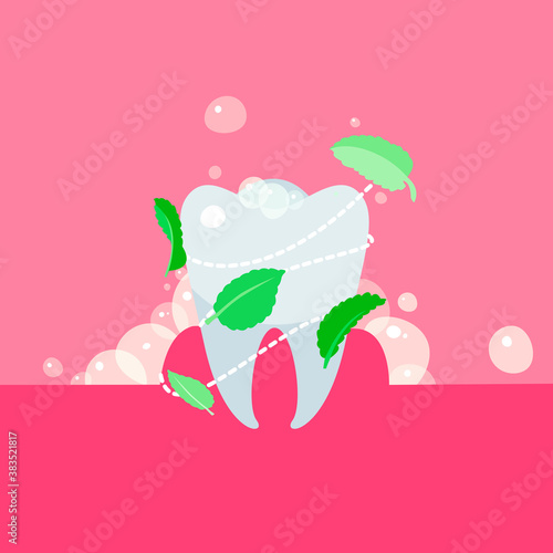 Whitening flat cartoon illustration. Mint toothpaste, Oral hygiene, mouth wash, xylitol Stomatology banner design.