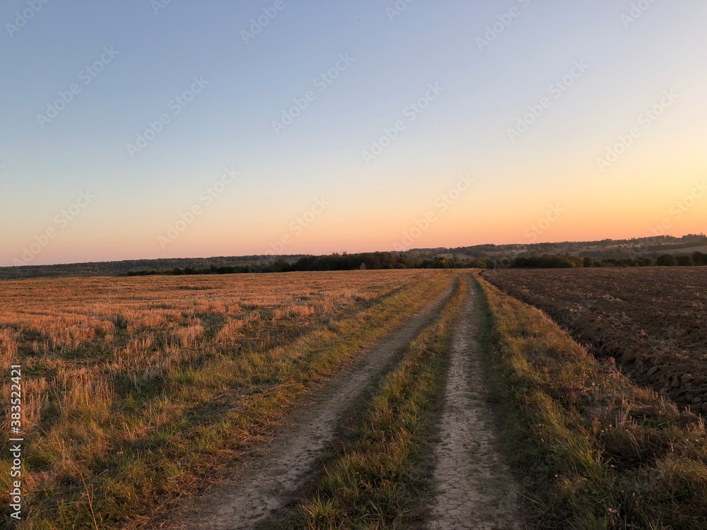 sunset in the field