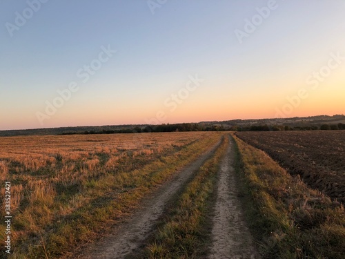 sunset in the field