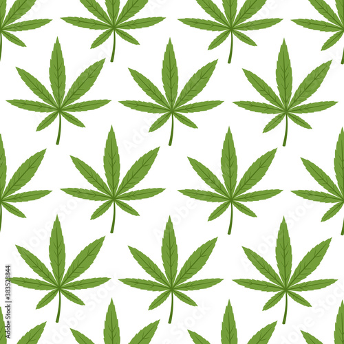 Vector seamless pattern with cannabis leaves on white background