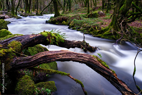 Fallen Log In River, Long Exposure photo