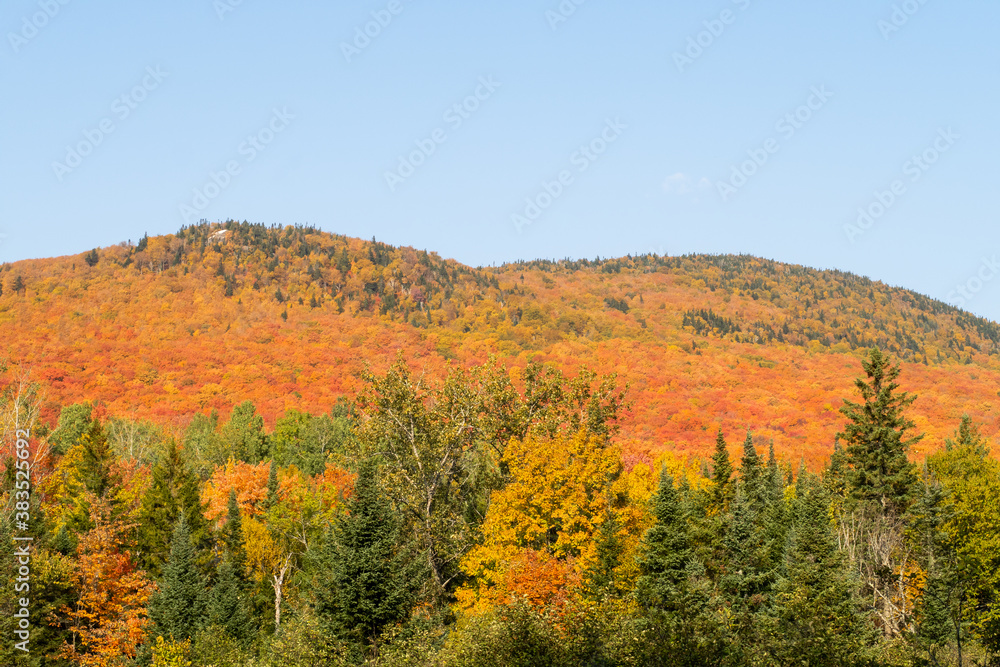 Beautiful autumnal colors in the Mont-Megantic national park, Canada