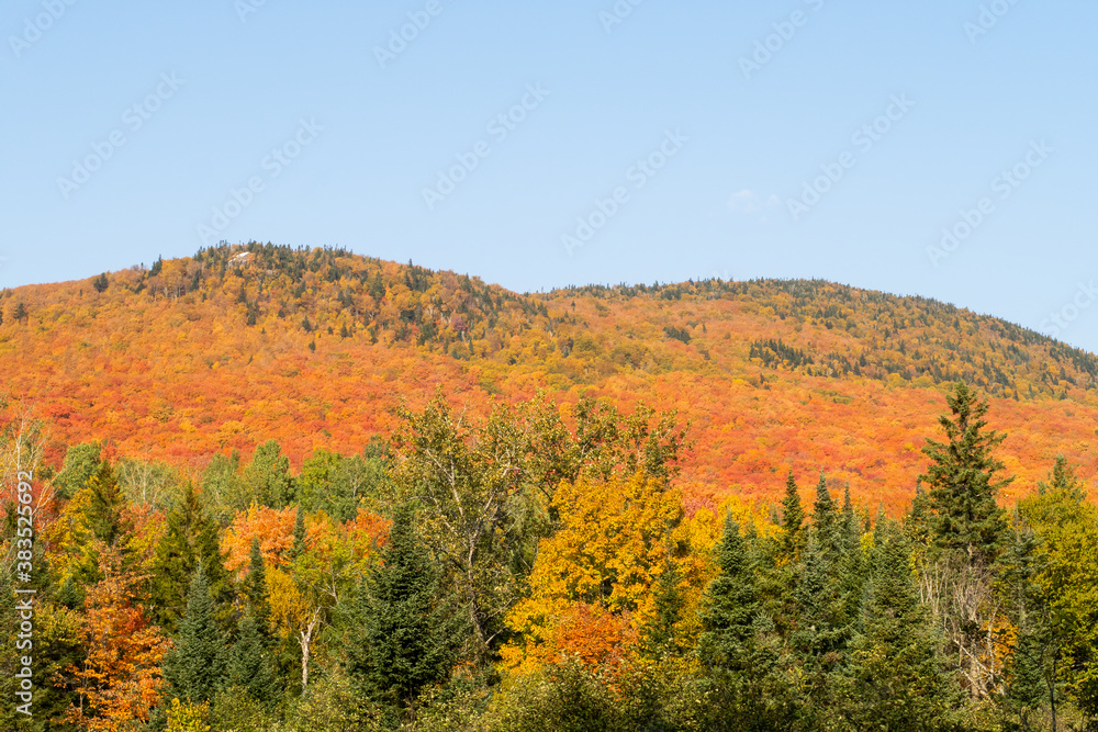 Beautiful autumnal colors in the Mont-Megantic national park, Canada Beautiful autumnal colors in the Mont-Megantic national park, Canada