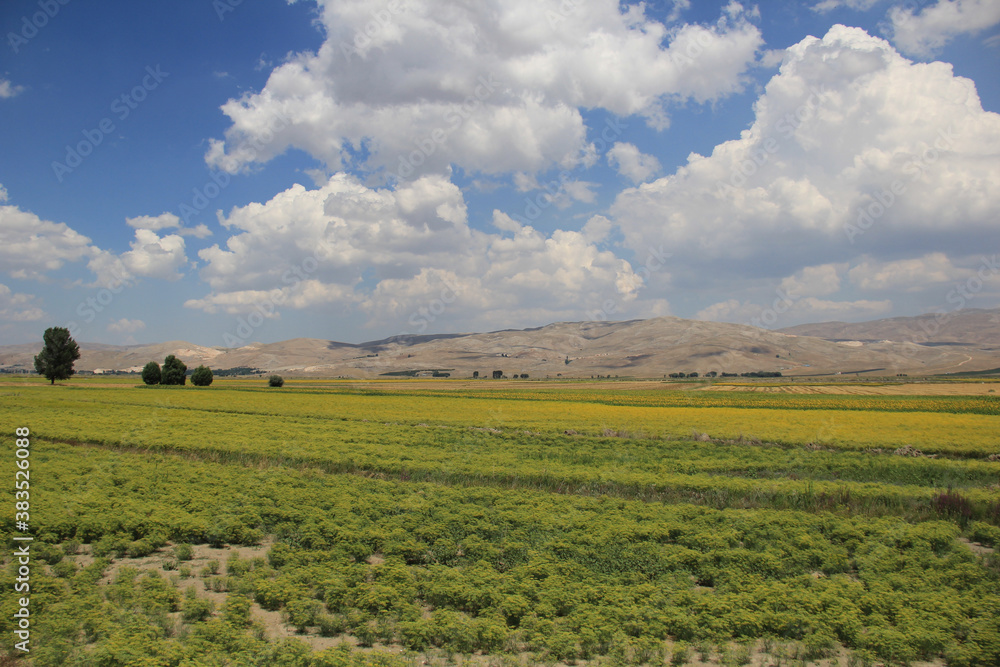 Farms at anatolia