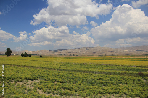 Farms at anatolia