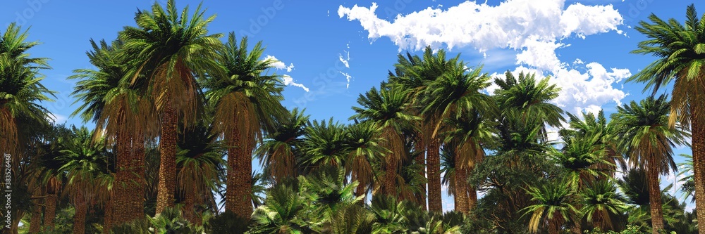 Fototapeta premium Palm trees against the sky with clouds, 3D rendering