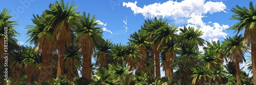 Palm trees against the sky with clouds  3D rendering