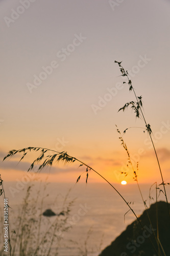 Blade of grass against misty sunset over cliffs of Pacific Ocean in Baja, Mexico.