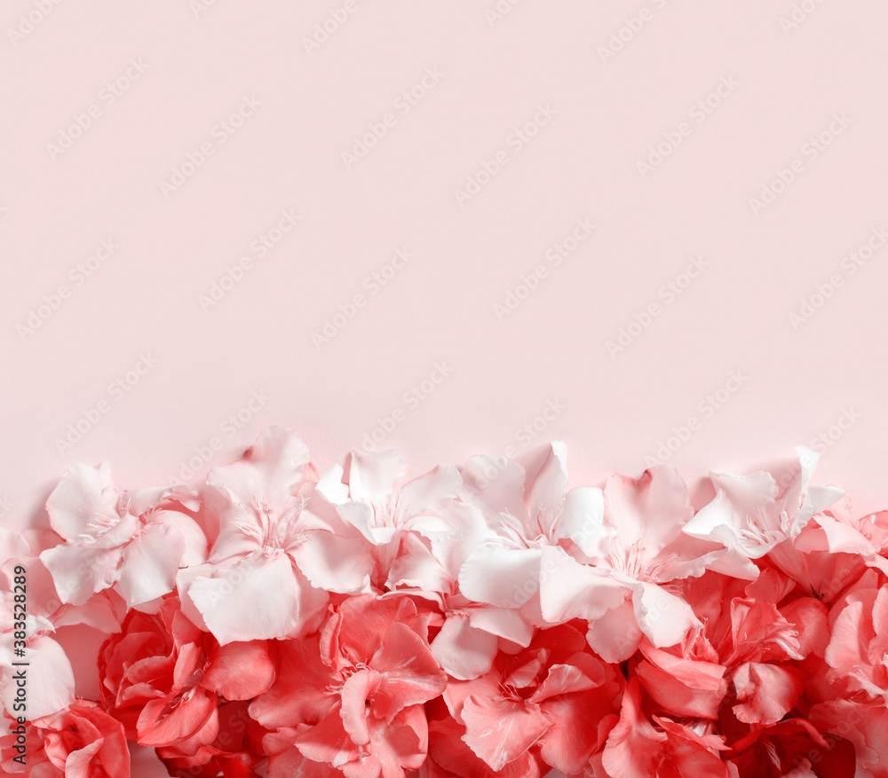 Red and pink flowers border over a pink background