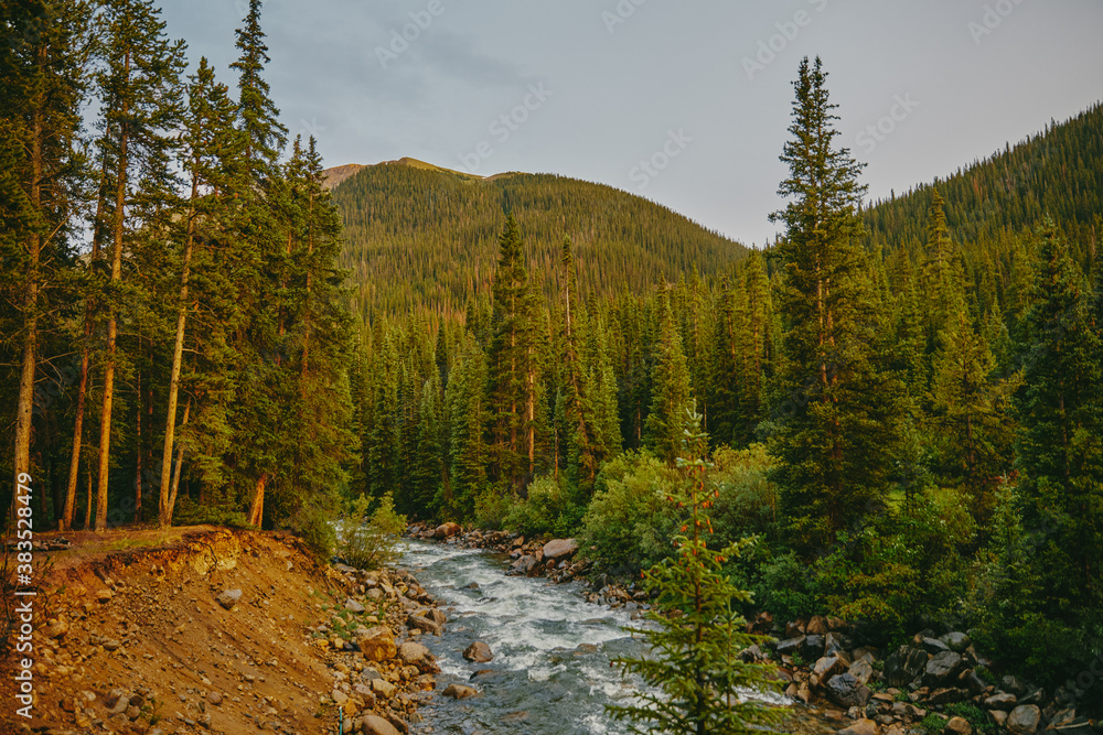 Golden sunset over river bank surrounded by pines near Aspen, Colorado