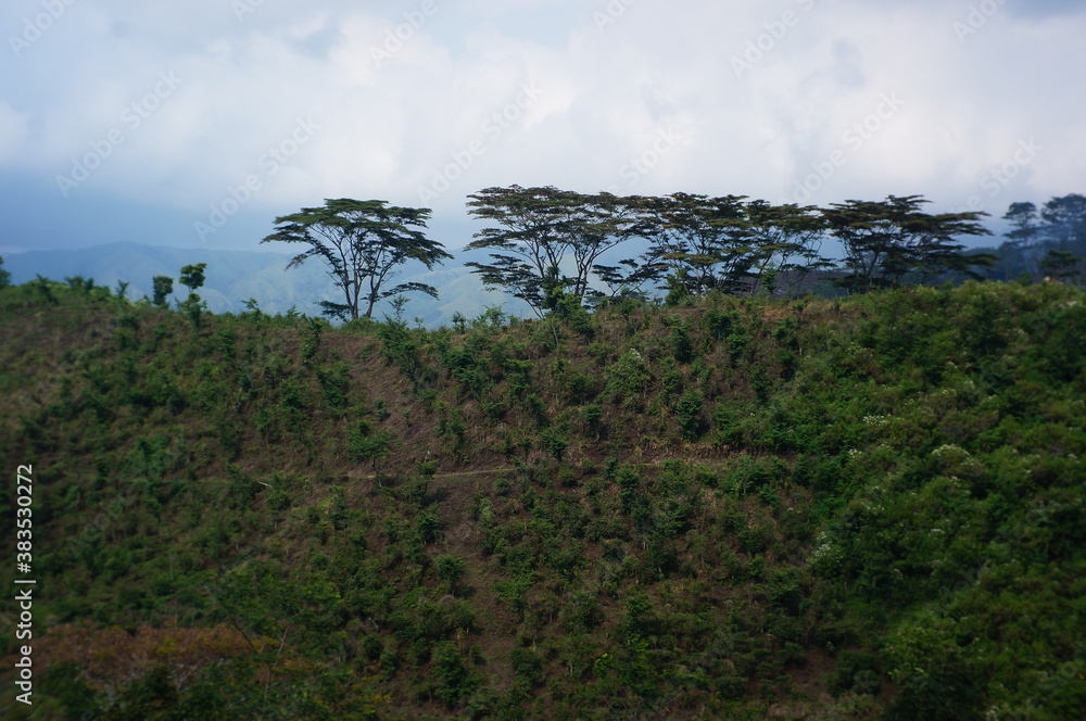Plateau with a few trees under the foot of the mountain and was once a wilderness Plateau with a few trees under the foot of the mountain and was once a wilderness