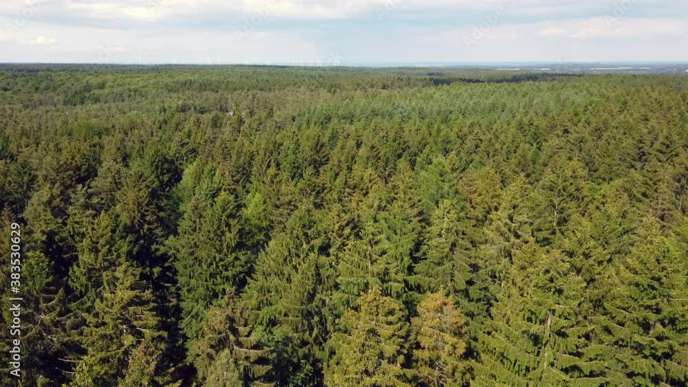 aerial view of coniferous forest swaying in the wind near Hamburg, Germany aerial view of coniferous forest swaying in the wind near Hamburg, Germany
