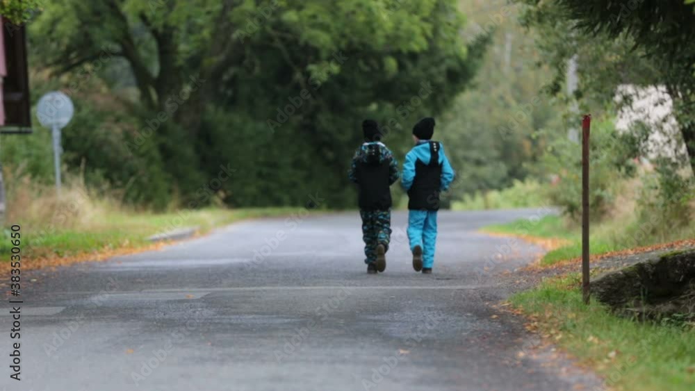 Two children, brothers, walking on a path in a park, cloudy autumn day Two children, brothers, walking on a path in a park, cloudy autumn day