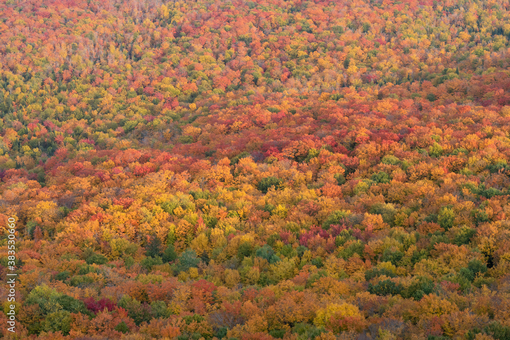 Beautiful autumnal colors in the Mont-Megantic national park, Canada Beautiful autumnal colors in the Mont-Megantic national park, Canada