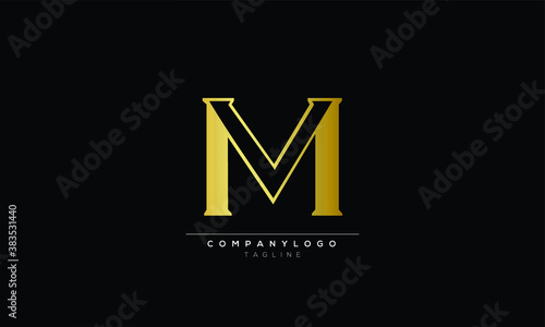 MV Abstract initial monogram letter alphabet logo design photo