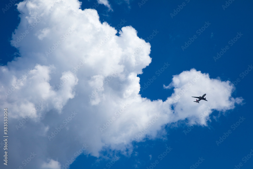 飛行機 飛行機
