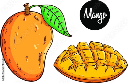 colored hand drawing mango fruit