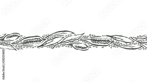 Sesame seamless pattern Vector sketch Nature plant