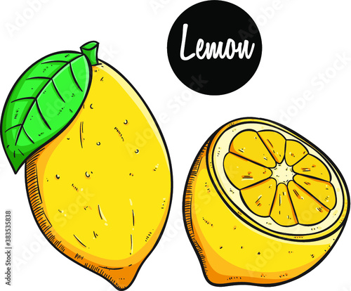hand draw lemon fruit