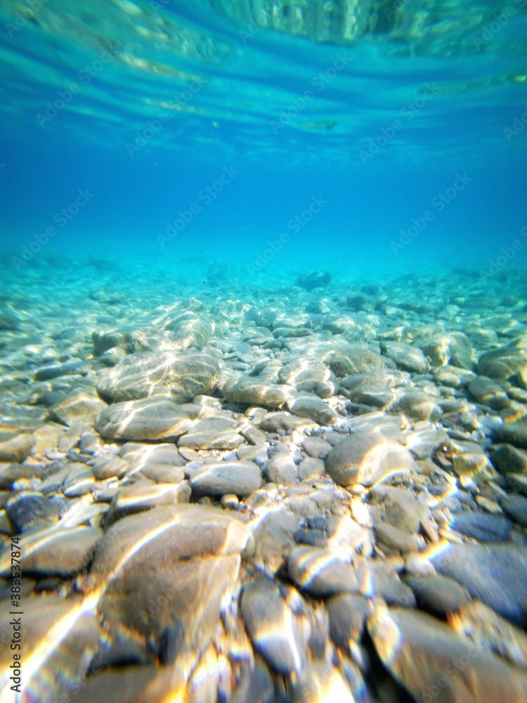 Obraz premium Under the sea