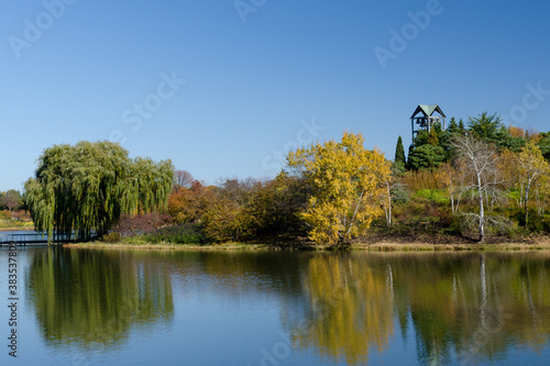 Fototapeta Naklejka Na Ścianę i Meble -  lake in autumn