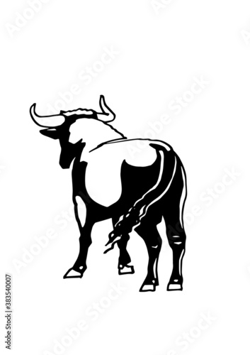 Graphical ox isolated on white background  vector ink pen illustration  mammal animal