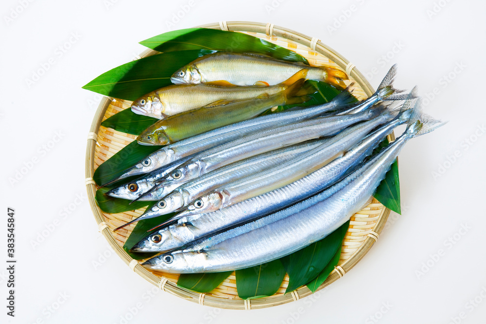 鮮魚