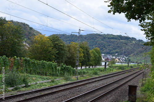 Weinberge im Moseltal bei Lehmen 10/2020 photo