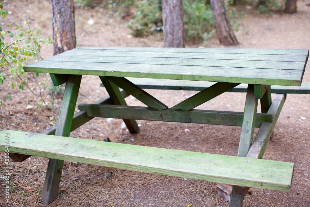 wooden bench in the park