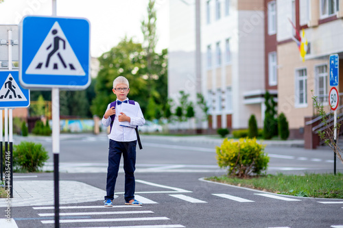 a blond schoolboy with glasses and a backpack goes to school on a pedestrian crosswalk. Day of knowledge