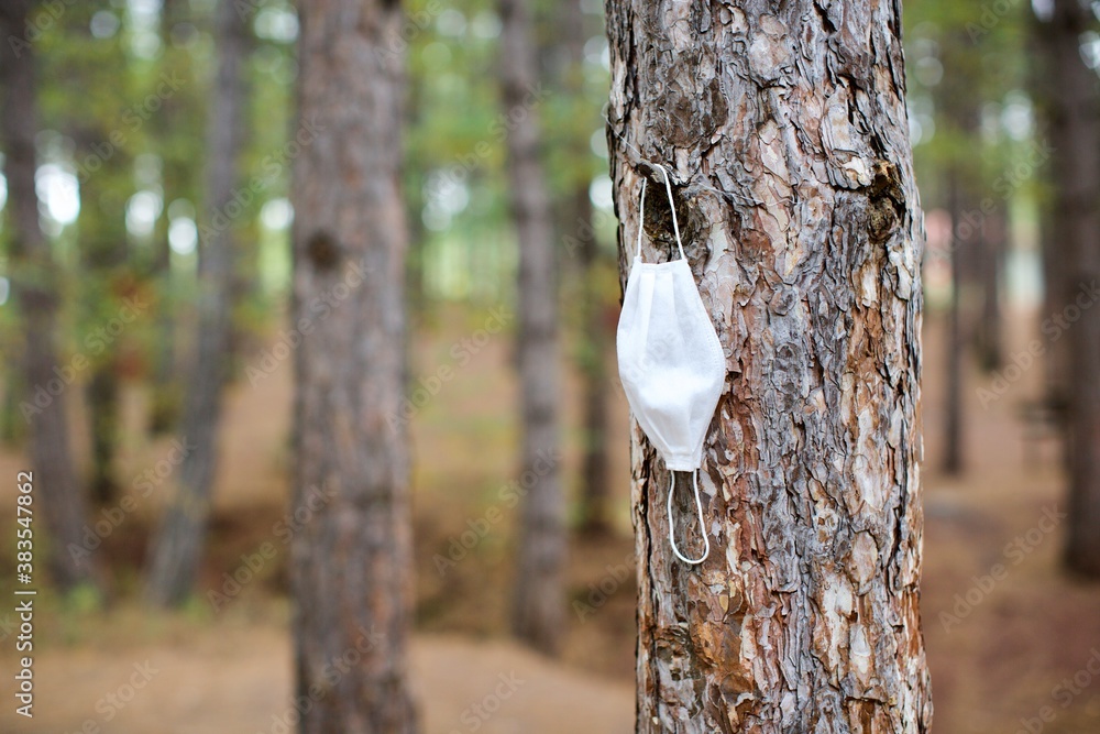 protective mask hanging in the tree protective mask hanging in the tree
