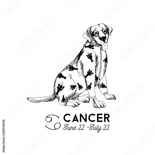 funny dogs zodiac signs