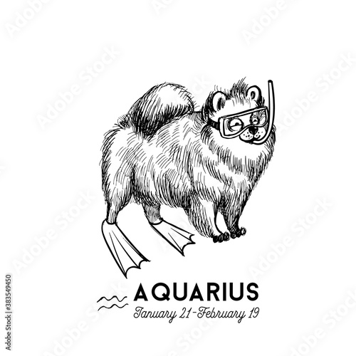 funny dogs zodiac signs