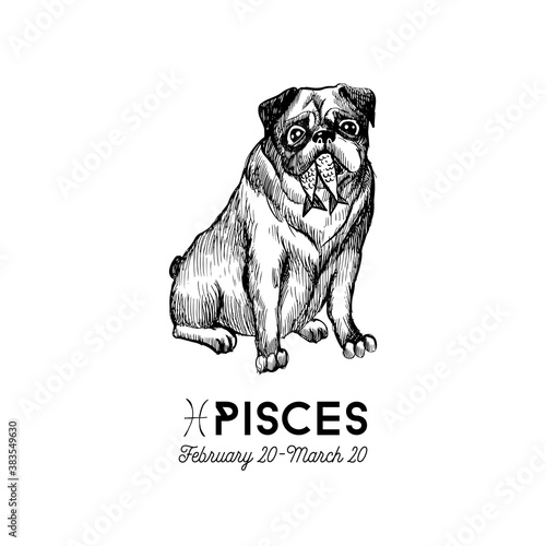 funny dogs zodiac signs
