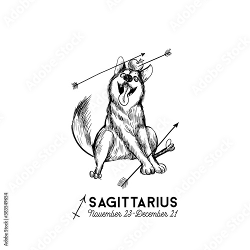 funny dogs zodiac signs