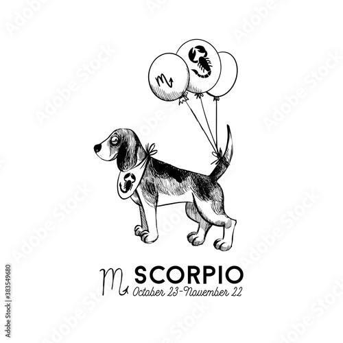 Photography funny dogs zodiac signs